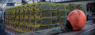 1450 AM Focus Magic New Bedford lobster traps and buoy_63S1815-1.jpg