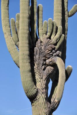Dsc_10642.jpg