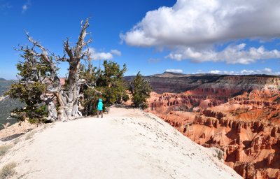 Dsc_20225.jpg