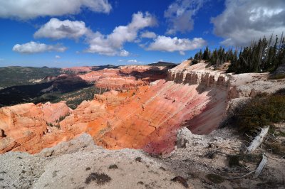 Dsc_20267.jpg