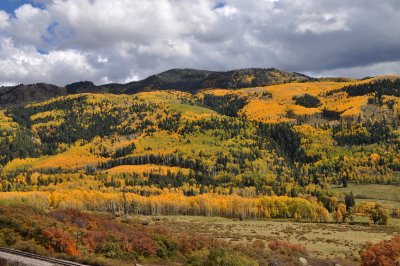 Dsc_4416.jpg