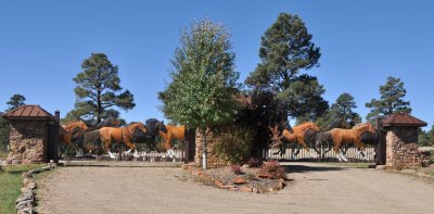 Dsc_5077.jpg