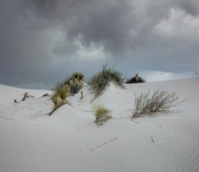 White Sands