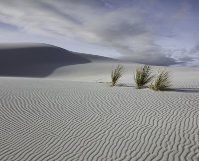 White Sands