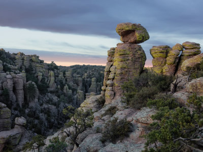 Chiricahua