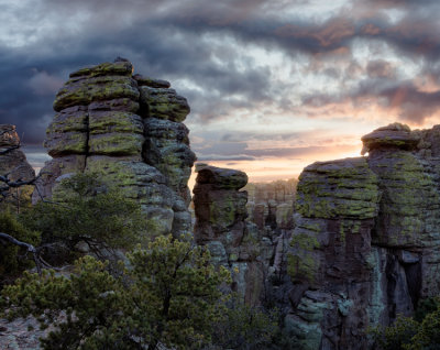 Chiricahua