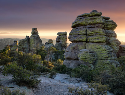 Chiricahua