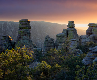 Chiricahua