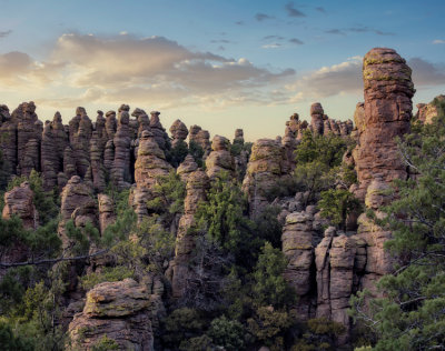 Chiricahua
