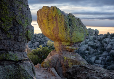 Chiricahua