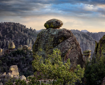 Chiricahua