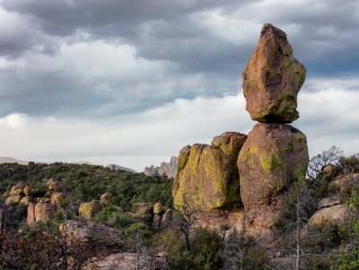Chiricahua