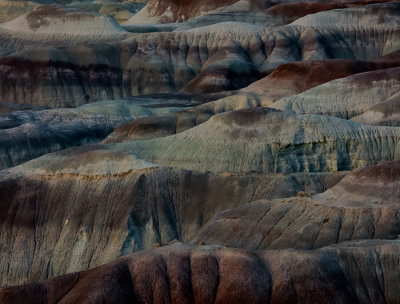 Little Painted Desert