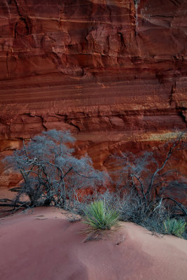 S Coyote Buttes