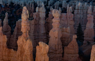 Bryce Canyon