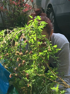 Gardening.