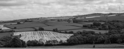 Modern farming.