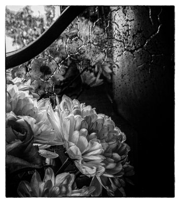Flowers in a mirror