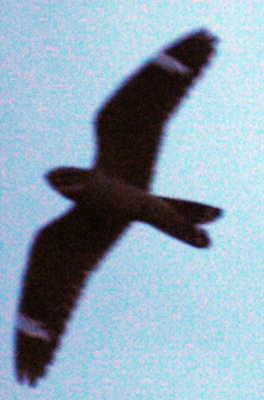 417jrhighlesser 025lesser.jpg