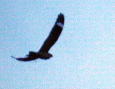 417jrhighlesser 061lesser.jpg