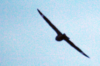 417jrhighlesser 065lesser.jpg