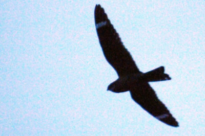 417jrhighlesser 076lesser.jpg