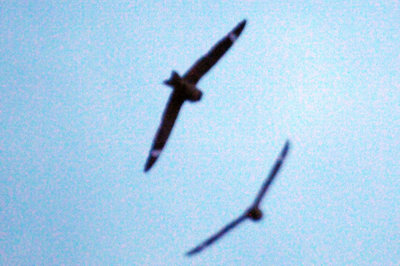417jrhighlesser 084lesser.jpg