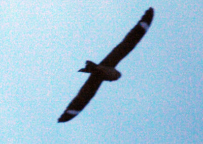 417jrhighlesser 094lesser.jpg