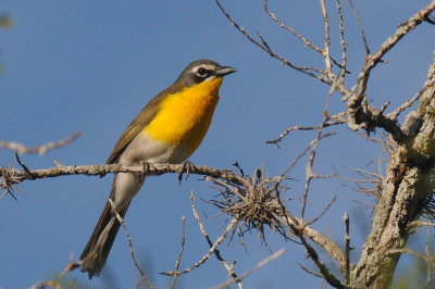 513county 059chat.jpg