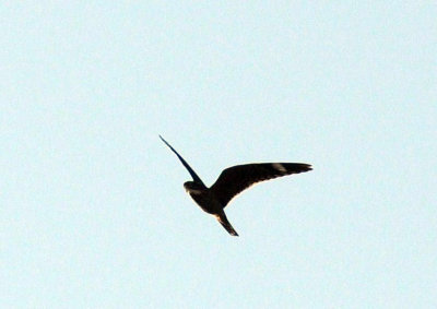 67uvalde 018lesser.jpg
