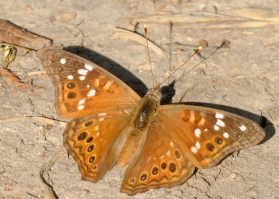 67uvalde 130leilia.jpg