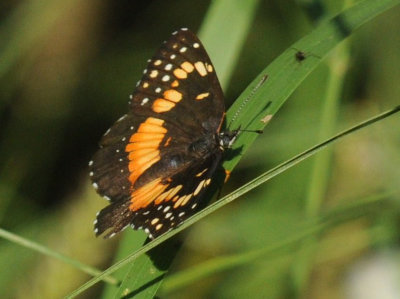 67uvalde 136bordered.jpg