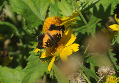 67uvalde 146bordered.jpg
