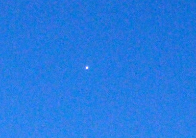 76lesser 008VENUS.jpg