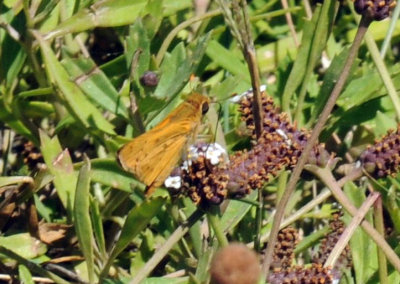 78baptisCooks 113skipper.jpg