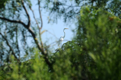 729cooks 038greategret.jpg
