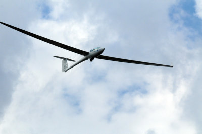 81gliders 044gliders.jpg