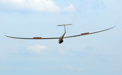 81gliders 052gliders.jpg