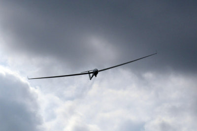 81gliders 061gliders.jpg