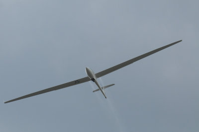 81gliders 065gliders.jpg