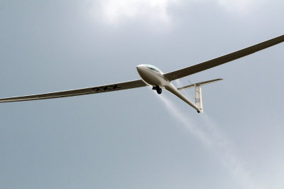 81gliders 103gliders.jpg