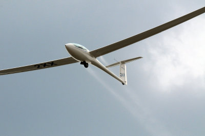 81gliders 105gliders.jpg
