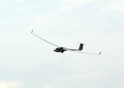 81gliders 142gliders.jpg