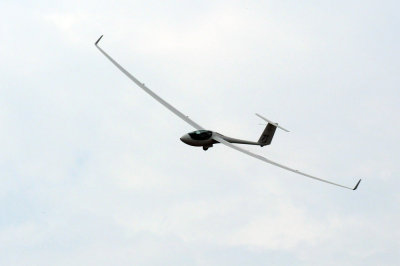 81gliders 149gliders.jpg