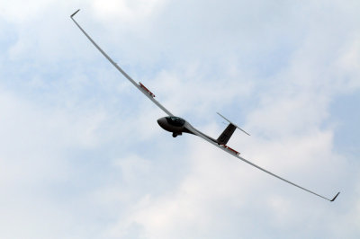 81gliders 155gliders.jpg