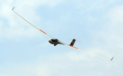 81gliders 205gliders.jpg