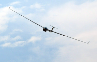 81gliders 228gliders.jpg