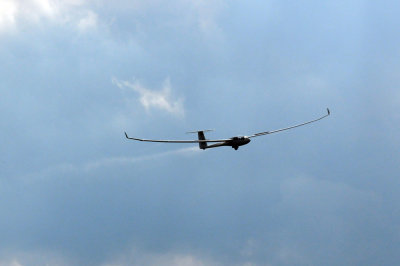 81gliders 236gliders.jpg