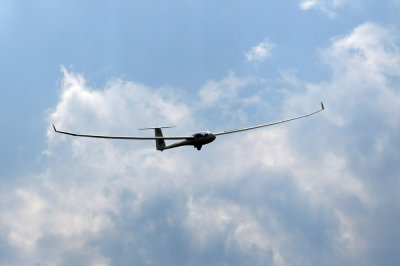 81gliders 238gliders.jpg