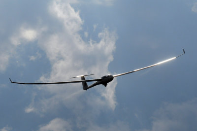 81gliders 242gliders.jpg